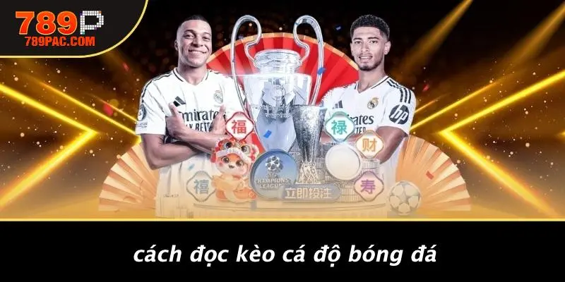 Cách Đọc Kèo Cá Độ Bóng Đá