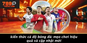 KIẾN THỨC CÁ ĐỘ BÓNG ĐÁ: MẸO CHƠI HIỆU QUẢ VÀ CẬP NHẬT MỚI