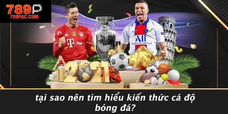 Tại Sao Nên Tìm Hiểu Kiến Thức Cá Độ Bóng Đá?