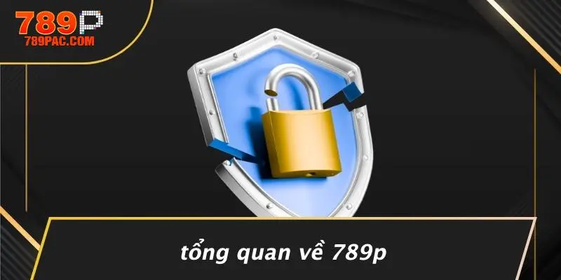 Tổng Quan Về 789P